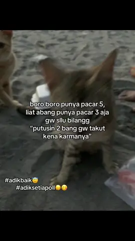 #justforfun 
