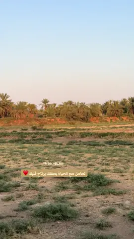 ‏تعامل مع الحياة بعقلك يرتاح قلبك ♥️ ‏#عدستي #التيك #وادي_الرمه #creatorsearchinsights #اكسبلورexplore 