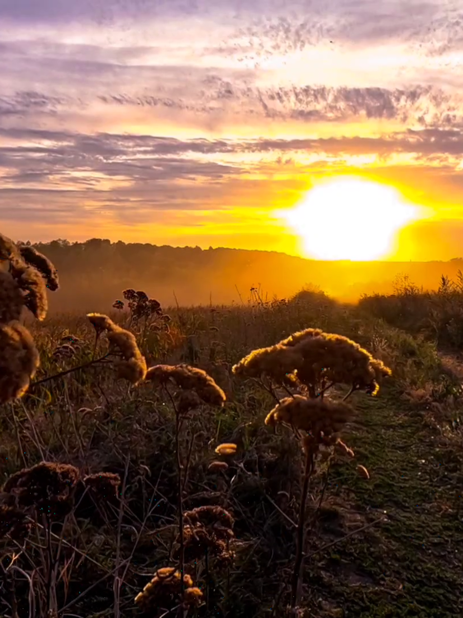 amazing sunset 🌇#aesthetic #naturevibes #foryou #sunset #sun 