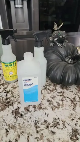 if your glass or mirrors are still streaking after you keep cleaning use rubbing alcohol.#tiktok #dustyjean #cleaningtiktok #clean #cleaninghacks 