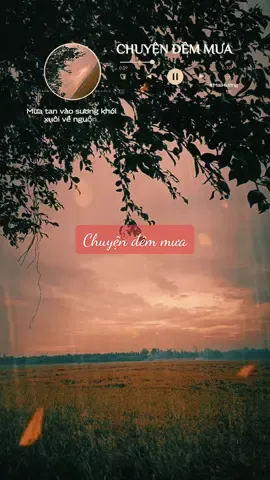 Chừng nào mưa thôi rơi đường về nắng tắt lối #tamtrang  #nhactamtrang  #nhachaymoingay  #canhdepthiennhien  #xh 