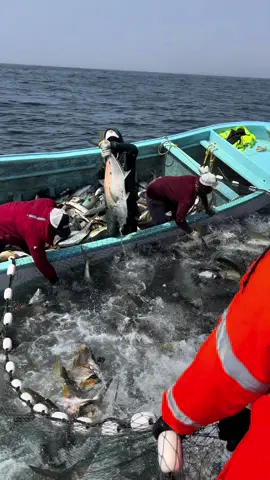 هيليه 🤩🔥#عمان🇴🇲 #اكسبلورexplore #الدقم🎭alduqm 