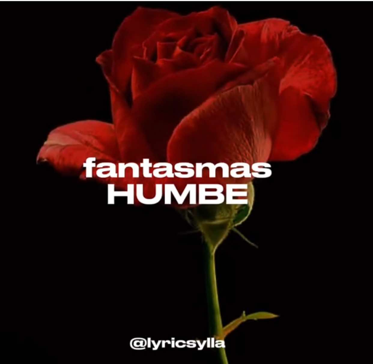 Fantasmas - HUMBE Tradução do espanhol pro português ❤️  #fyppppppppppppppppppppppp #lyric #fantasmas #humbe #edit 