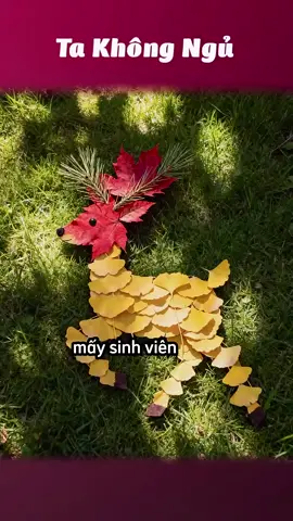 Đỉnh đỉnh đỉnh🌿🍂 #takhongngu 