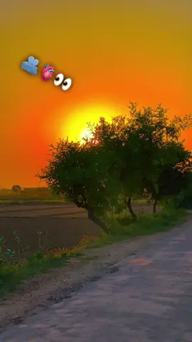 #میرا_سہنا_پنڈ_لاکھو_کالم_ضلع_قصور♥️🍁🌴🌱😇 #shanimayo #shani_mayo1 