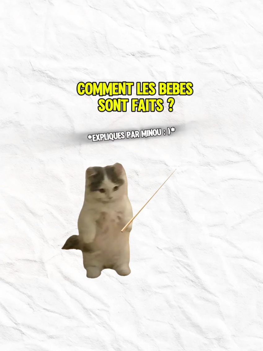 Comment les bb sont faits ?#apprendresurtiktok  #minou #minette #bébé #enfant