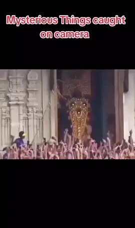 #cryptozoology #cryptid #mysterious #monster #unknownspecies 