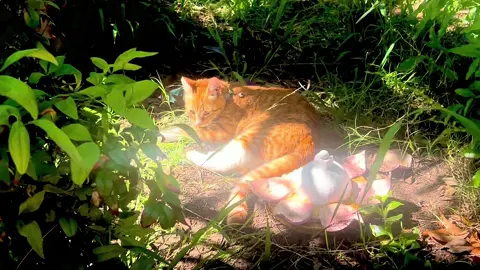 #spring 