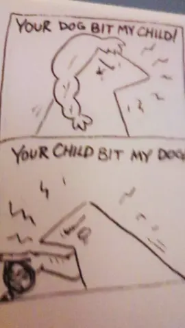 HI GUYS LONG TIME NO SEE  #birbcomics #birds #comic #art #funny 