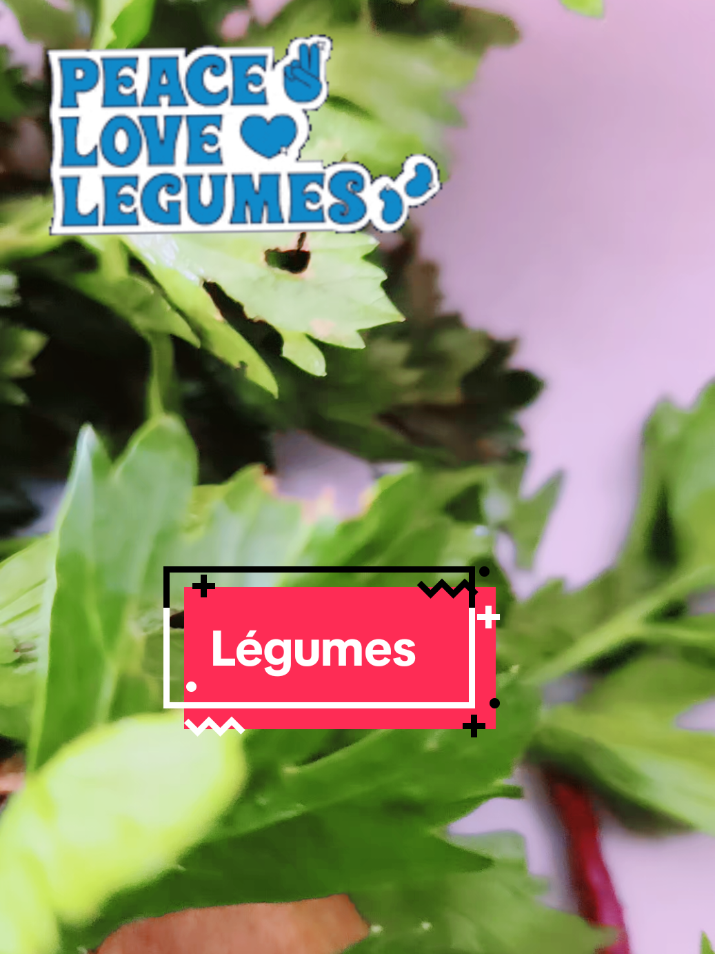 #legumes#jardin #fraise 