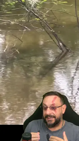 Curtindo a natureza na Austrália? #biologohenrique #animais #bichoesperto #biologo