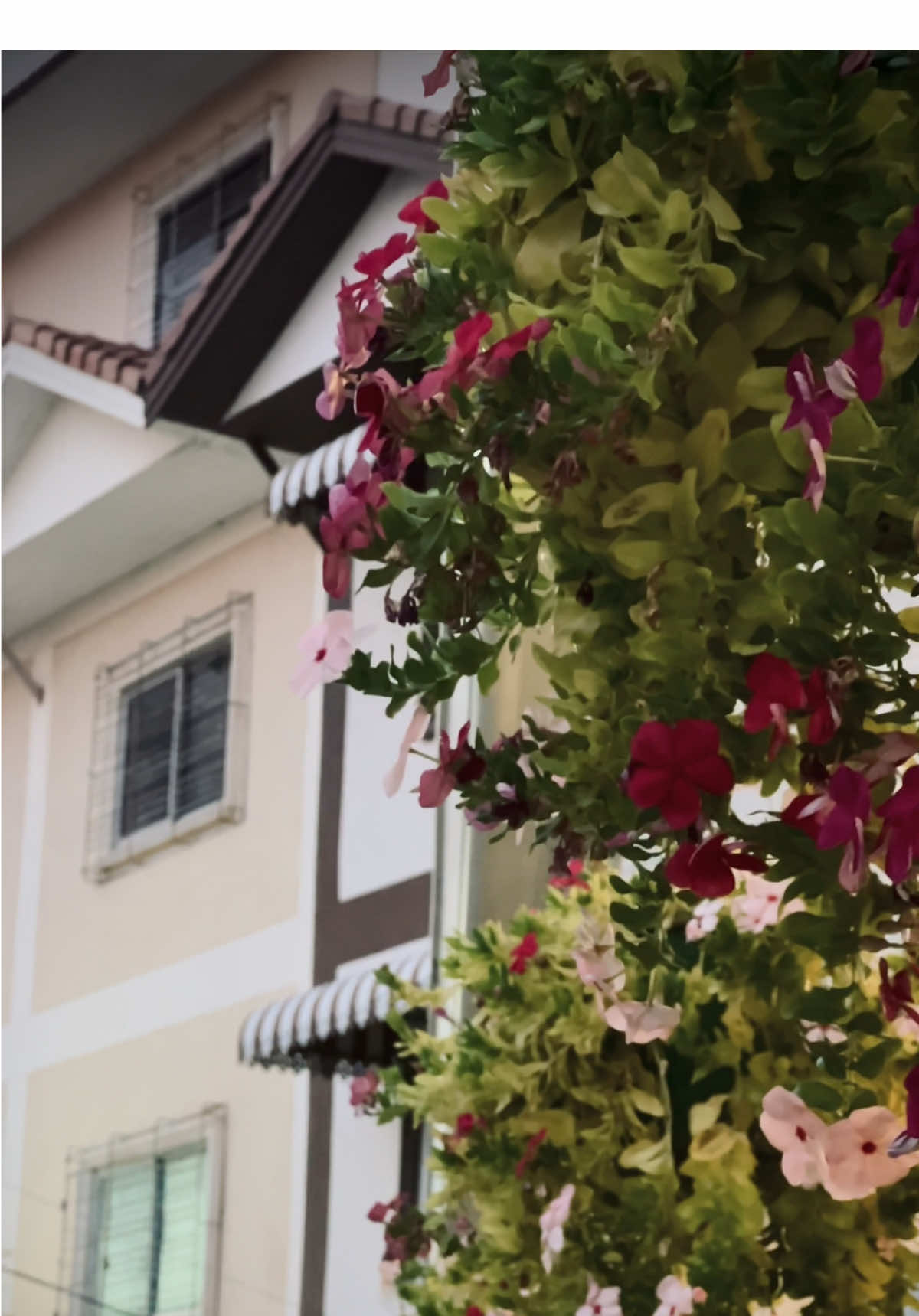 #peace #foryoupage #foryou #trending #tiktoktravel 