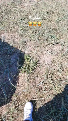 #الشعب_الصيني_ماله_حل😂😂#العراق#ترند#فالو#اكسبلور 