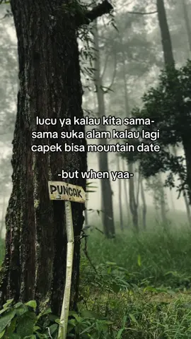 Kapan tapi???🥹 #amazingwilis #wilisviajurangsenggani #jurangsengganitulungagung #wilismountain #savegunungjawatimur 