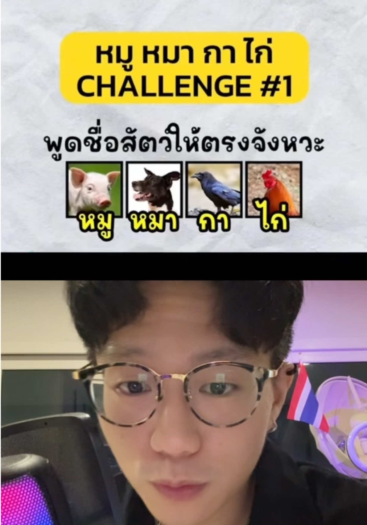 #ดูเอ็ทกับ @PupaePenPed 🐣 #หมูหมากาไก่ ยากมาก อย่าร้องไห้🫠🫠🫠🫠🫠 #thailand🇹🇭 #bangkok #fyp 