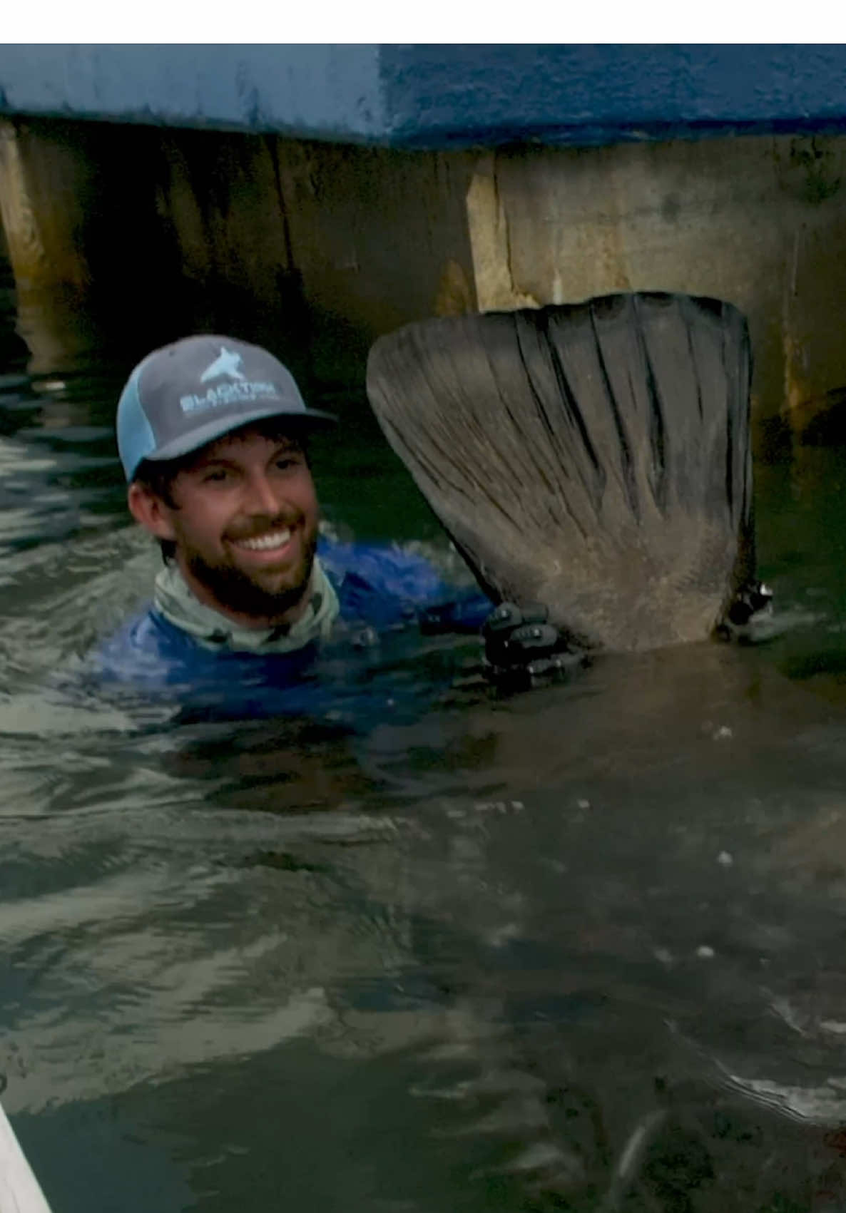 Biggest Fish Caught from a Dock 😧 #big #fish #longervideos #ocean 