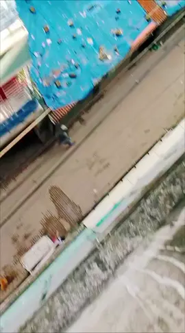 #জেগে উঠছে ছাত্রী জনতা 