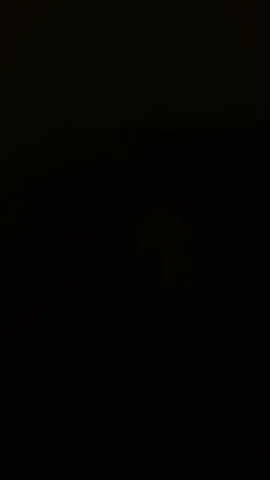 #CapCut 