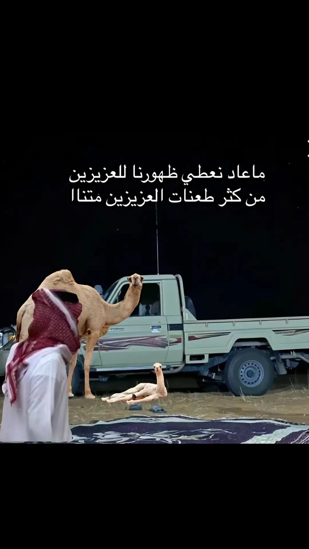 #إكسبلورر 