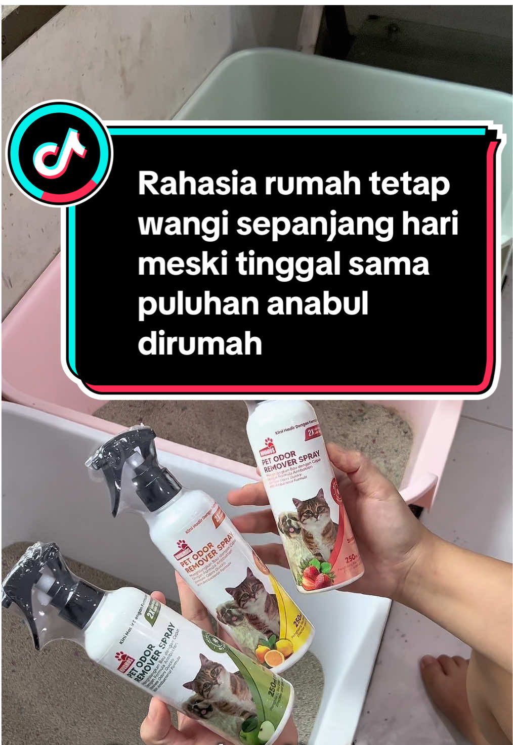 Rumah tetap wangi meski serumah sama puluhan anabul #petodorremover #petodorremoverspray #novamos 