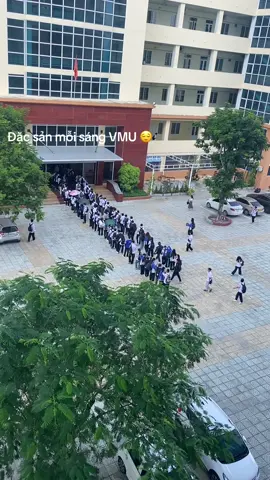 #vmu#sinhvien #hànghaivietnam 