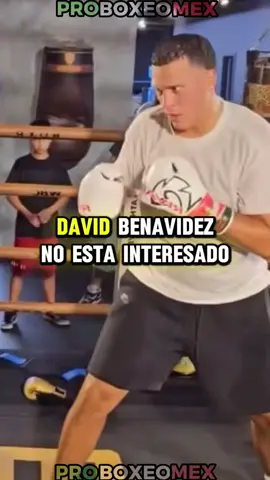 David Benavidez no está interesado en enfrentar a Terence Crawford #benavidez #davidbenavidez #CaneloCrawford #CaneloVsCrawford #terencecrawford         