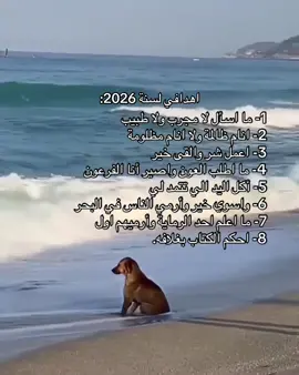 اهدافي لسنة 2026:#2026 #edit #explore #foryou 