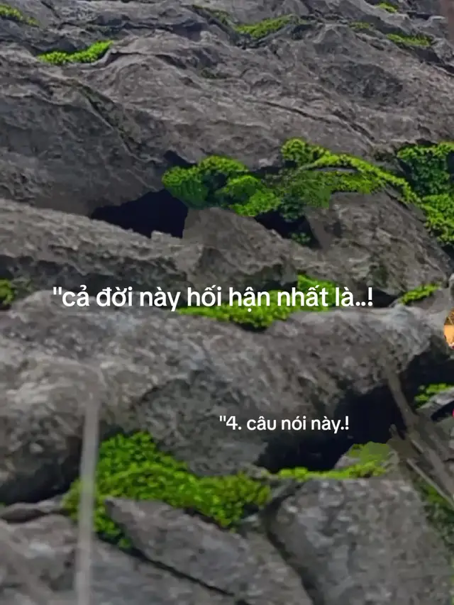 hứa với bạn thân sau này sẽ cố cho bố mẹ đỡ.!