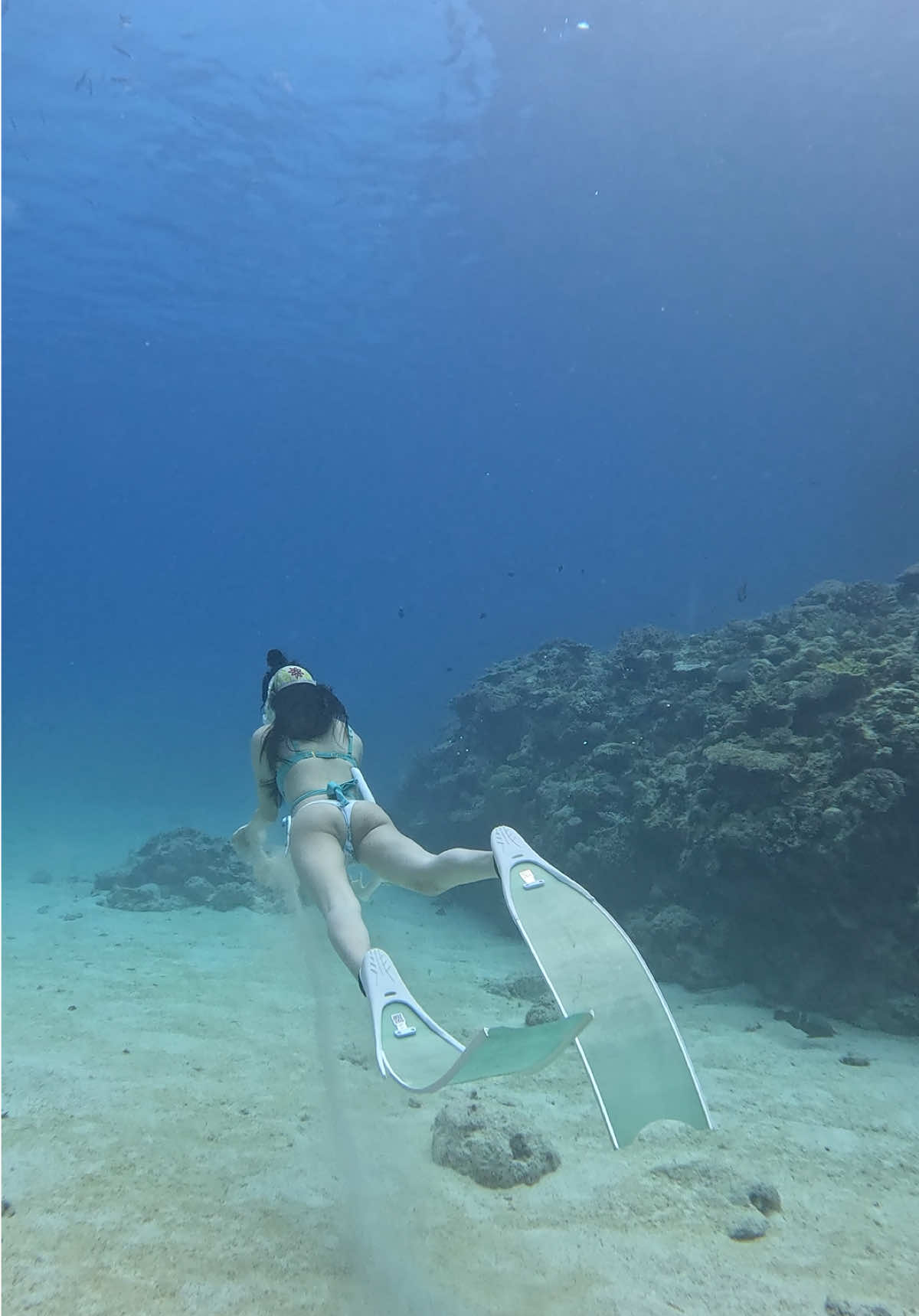 フォローまっとーよ？🩵#スキンダイビング女子 #スキンダイビング #ダイビング女子 #ダイビング #福岡 