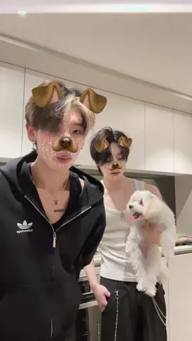 🐶 @Jin 