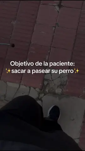 La importancia de escuchar a tu paciente y adaptar tu tratamiento 🥰✨ #adultomayor #marcha #objetivos #kinesiologia #rehabilitacion 
