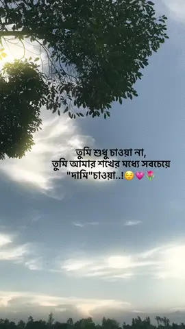 তুমি শুধু চাওয়া না, তুমি আমার শখের মধ্যে সবচেয়ে 