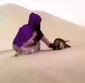 #اكسبلورexplore 