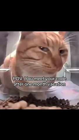 It’ll be looking like acient language😅😅 #javascript #coding #funny #codingmemes 