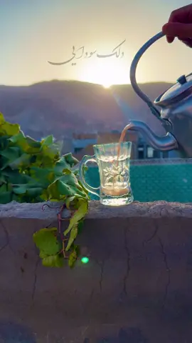 پرستو مهریار: دلک سودایی  #آهنگ_افغانی #دلک_سودایی #پرستومهریار #songs 