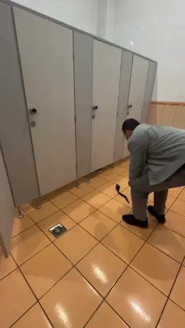 🐍 in a bathroom prank #funny #fyp #foryoupage #prank #snake 