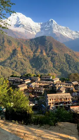 🍂❣️ #fyp #foryou #ghandruk #creatorsearchinsight 