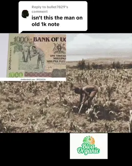 Replying to @bullet7829 #oldsongs #kenyaoldisgold #southafricaoldies #kadongokamuspecial #waliludawa #OLDISGOLD @Dr senjobe Richard bivaorganic 