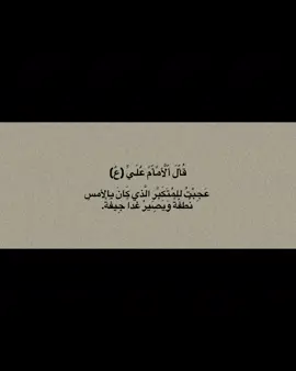 صدقت ياميري 🤎🌿 قناه التلي بالبايو#اقوال_وحكم_الامام_علي_عليه_الاسلام 