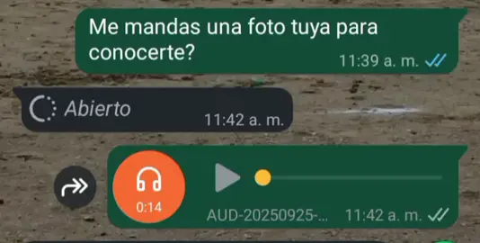 Demonios JAJAJAJA #audiosparawhatsapp #humor #paratii #viralvideotiktok #fypシ゚ @Emanuel 