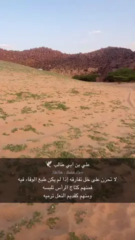 #علي_بن_ابي_طالب #اكسبلور #نجران 