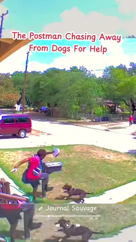 The postman chasing away from dogs for help 😂 #satisfying #animals #dogs 