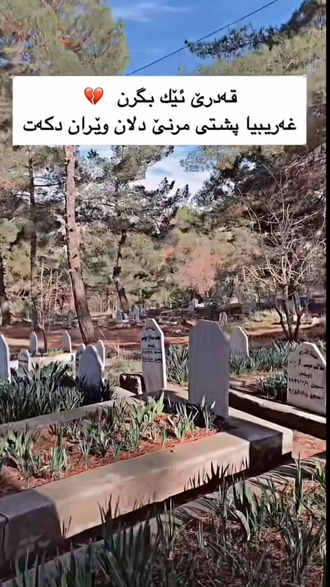 #💔🥀 #دهوك_زاخو_سليماني_ئاكري_ئامیدی_هولیر #duhok_zaxo_amedi_semel_akre 