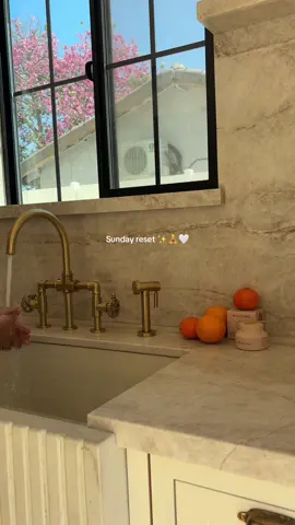 Clean products, clean skin ✨ #cleanskincare #wildplantingredients #plantbasedskincare #sundayreset #cleanbeauty 