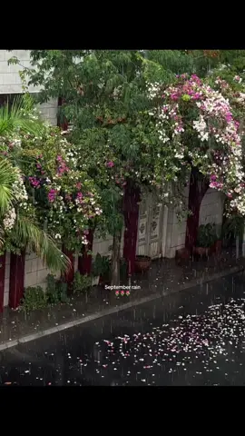#explore #foryou #fyp #rain #اكسبلور 