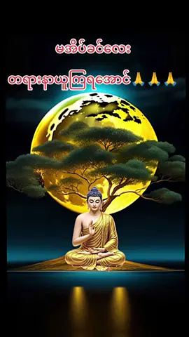 #တရားတော်များနာယူနိုင်ပါစေ🙏 #fpyပေါ်ရောက်စမ်း😒👊 #မိဘကျေးဇူးဆပ်နိုင်ကြပါစေ 