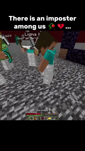 #minecraftmovie #minecraftedit #minecraftclips #mincraft #minecraftideas 