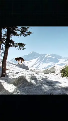 Amazing 😱  #foruyou #viral #viralvideos 