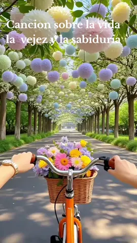 #cancion sobre la vejez y la sabiduría.