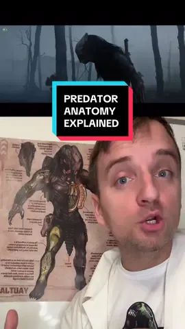 Replying to @Luthien Tinuviel Predator Anatomy Explained #predator #predatorbadlands #yaujta #filmtok #movietok 
